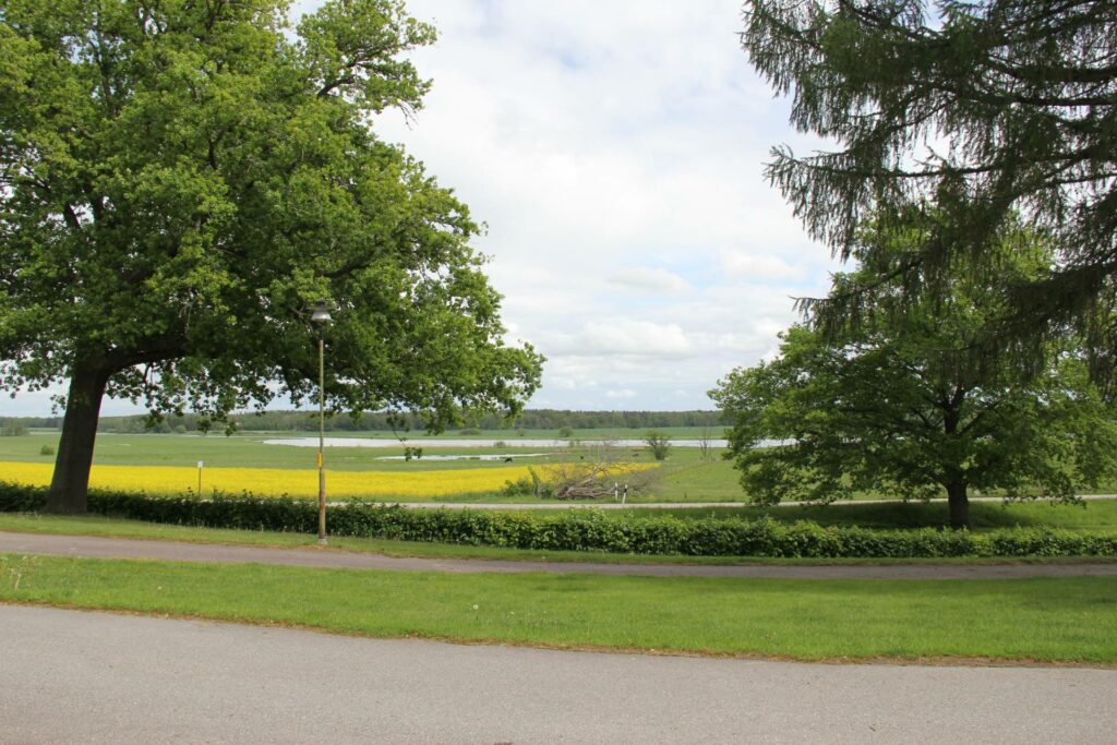 Utsikt från lägenheter mot en stor grön äng