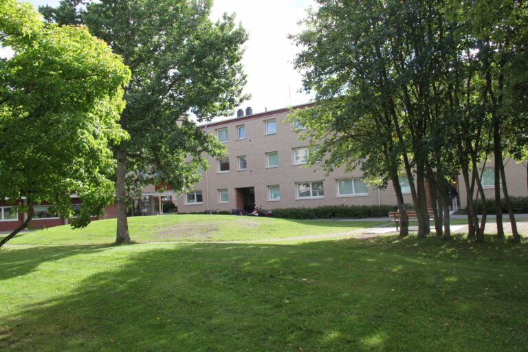 Gräsmatta och träd med lägenhetshus i bakgrunden
