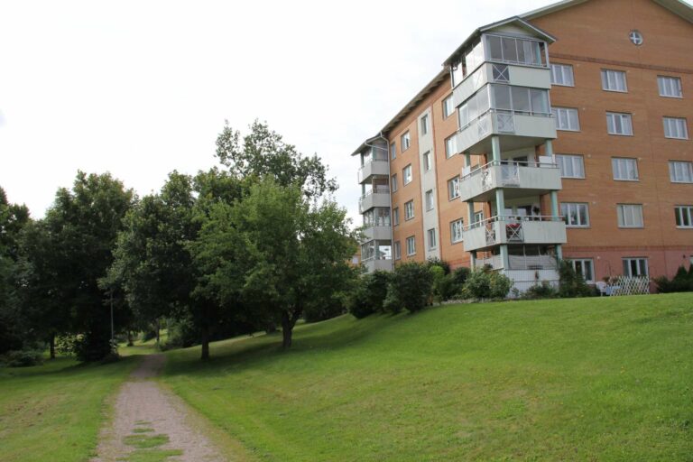 Grönyta med träd och lägenhetshus i bakgrund i området Knektbacken