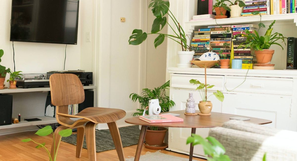 Ett vardagsrum med växter, tv, soffbord och en trästol