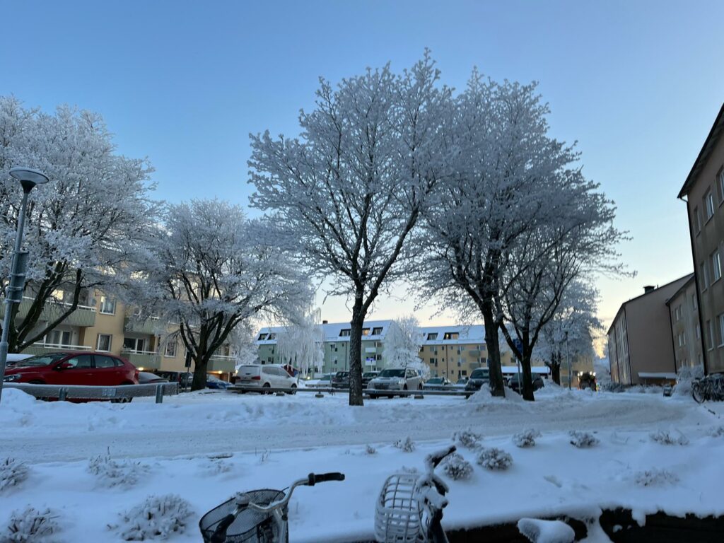 Snötäckta träd och snö