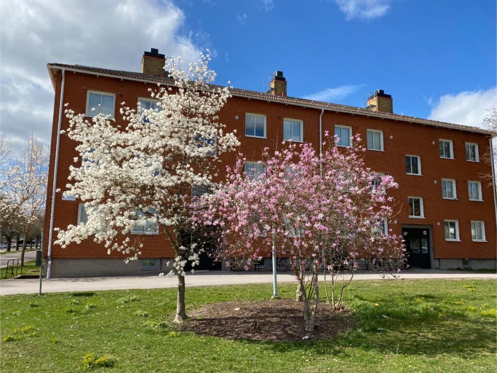 Blommande trädgårdsgatan