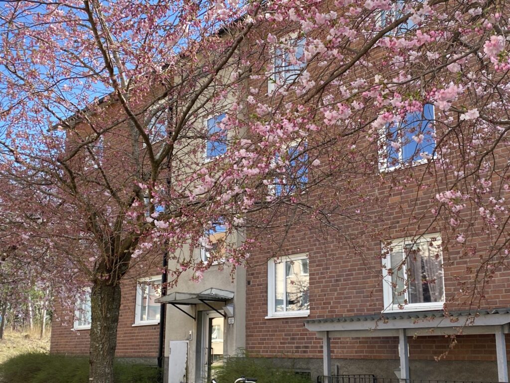 Fastighet med lägenheter